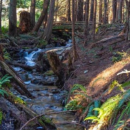 Forest Haven Hideaway Roberts Creek Exterior foto