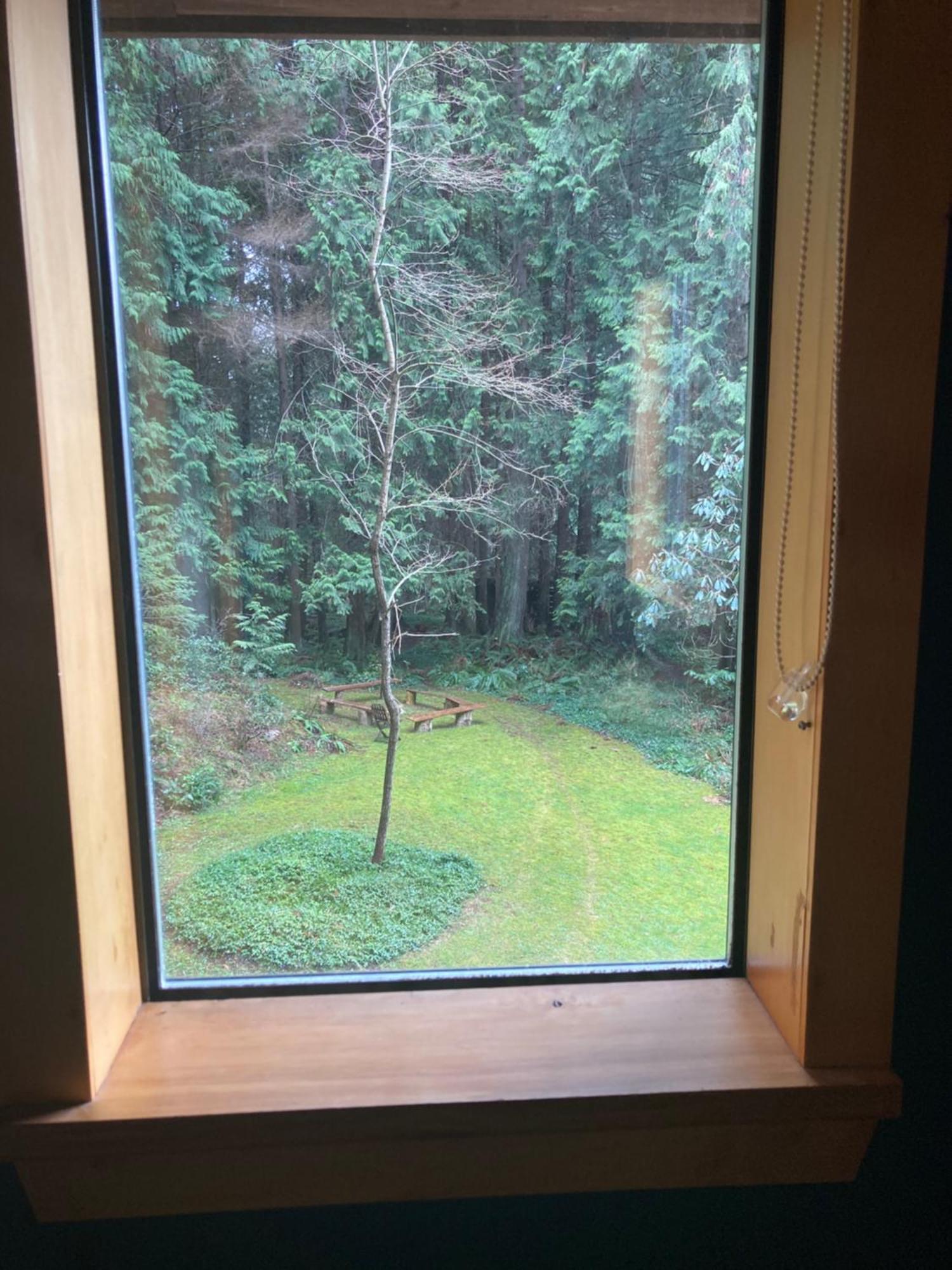Forest Haven Hideaway Roberts Creek Exterior foto